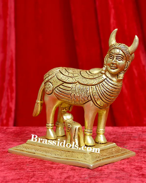 Kamdhenu 2kg - image 2