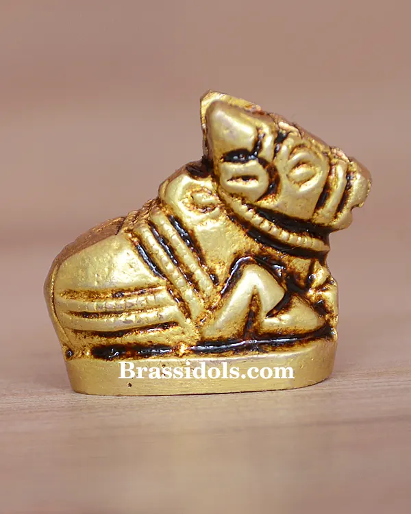 Nandi 30gm - image 1