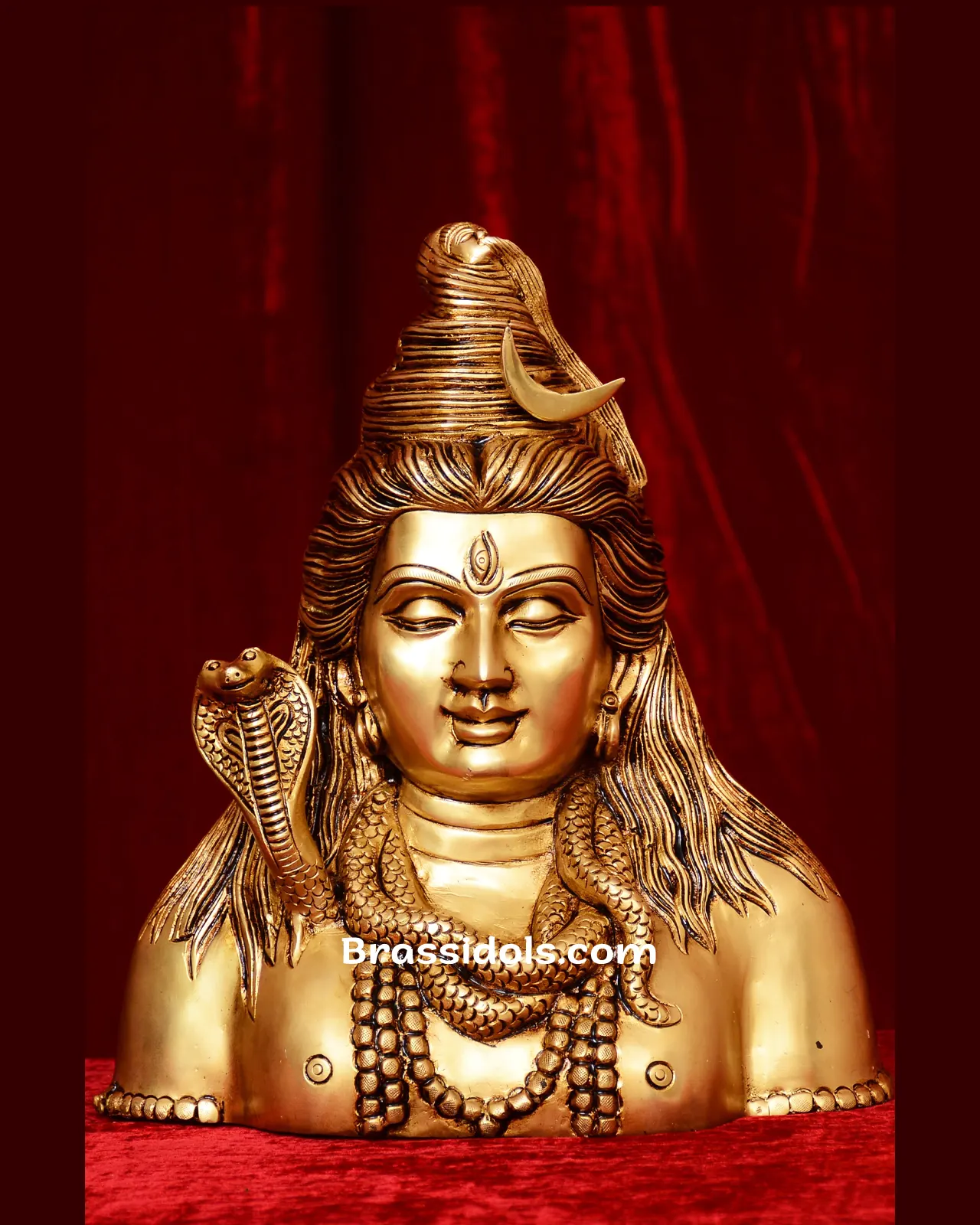 Half Body Shiva Face - image 1