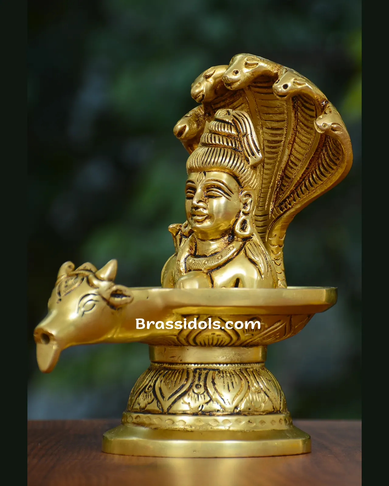 Nandi Nag Shivaling Mukhi - image 1