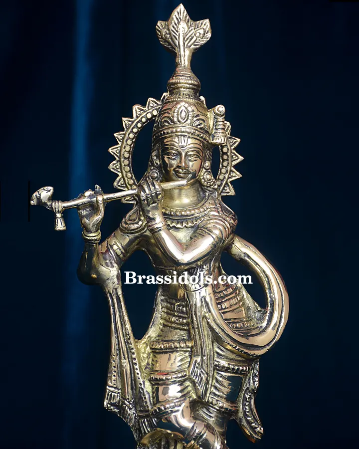 Plane Krishna - image 1