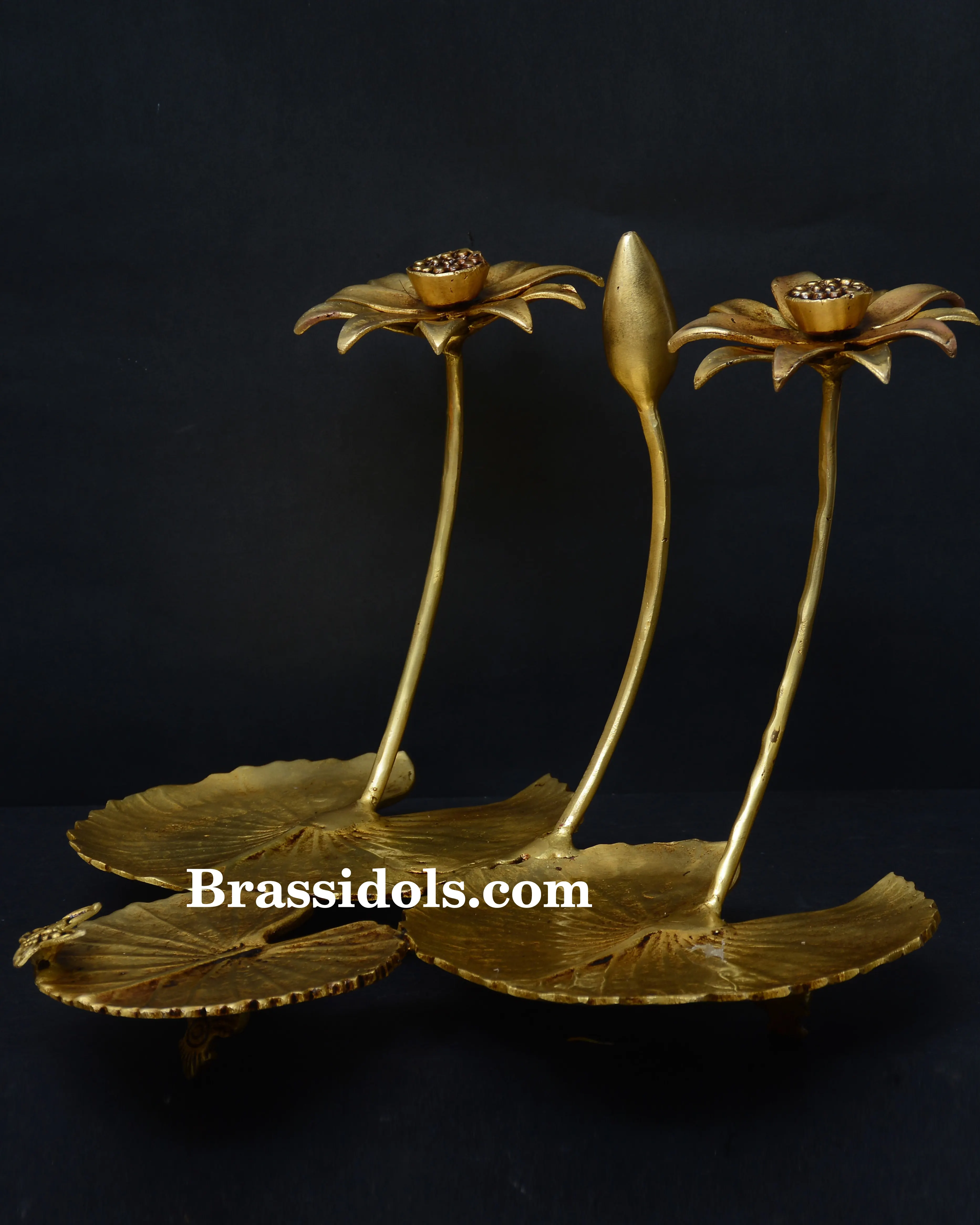 Lotus leaf stand - image 2