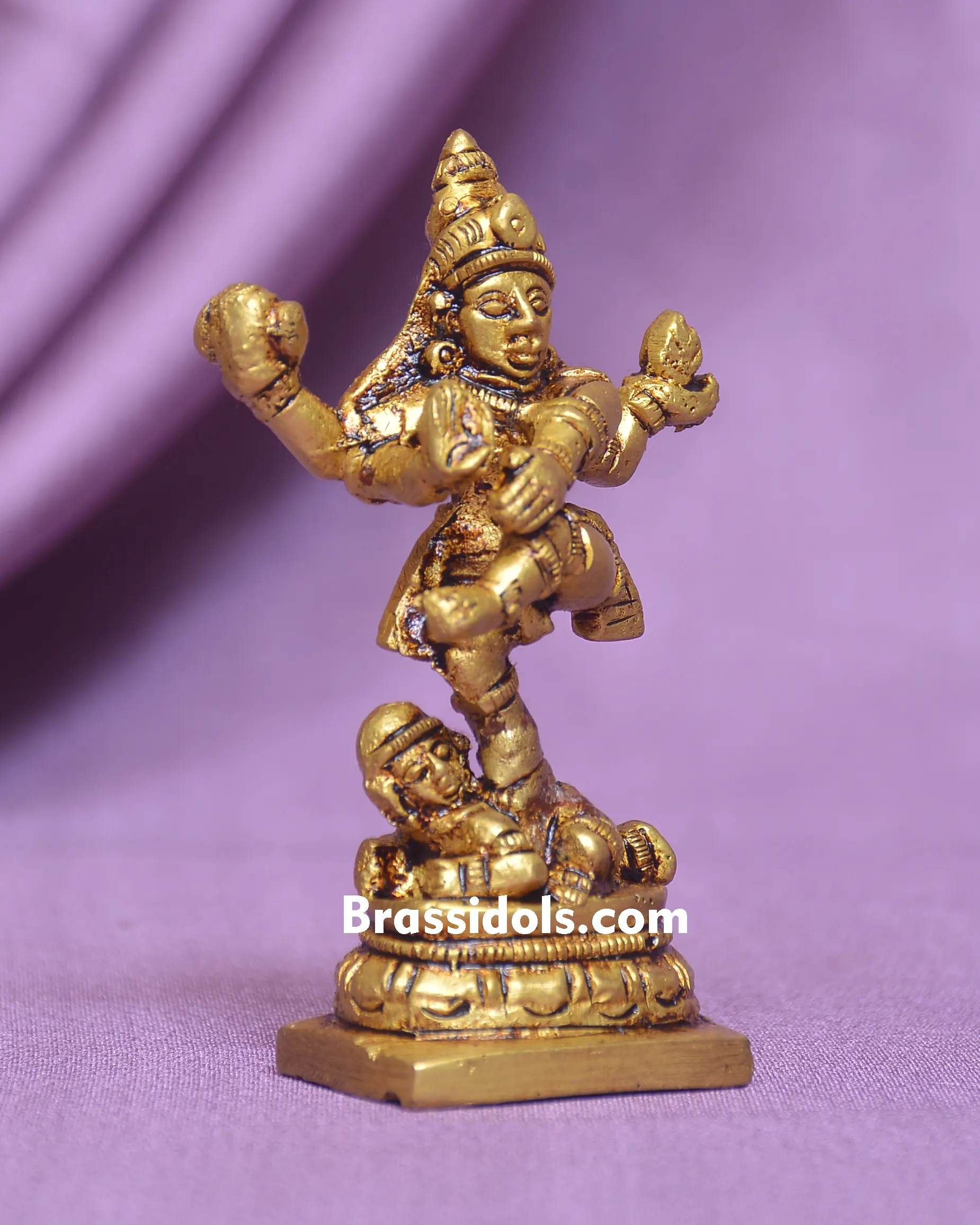 NATRAJ IDOL - image 1