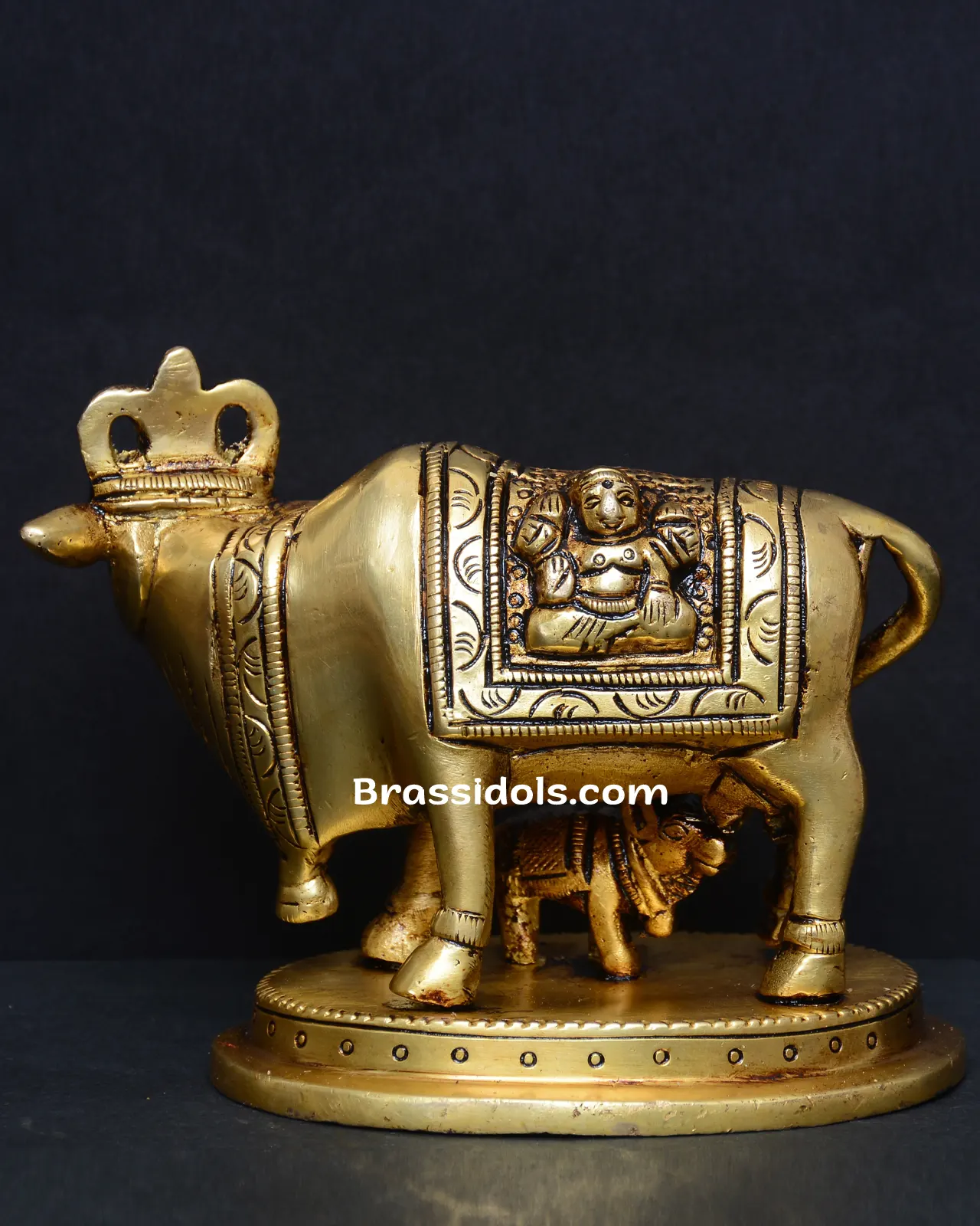 Cowcalf L+G - image 2