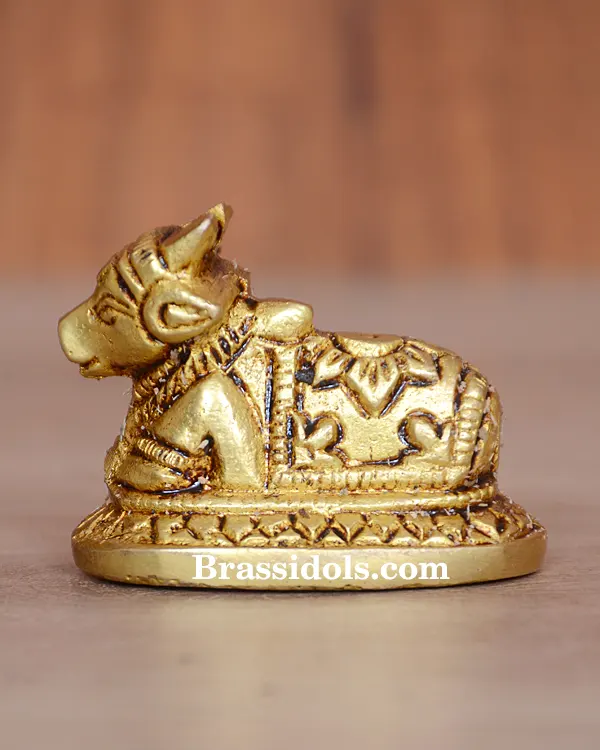 Nandi 100gm - image 2