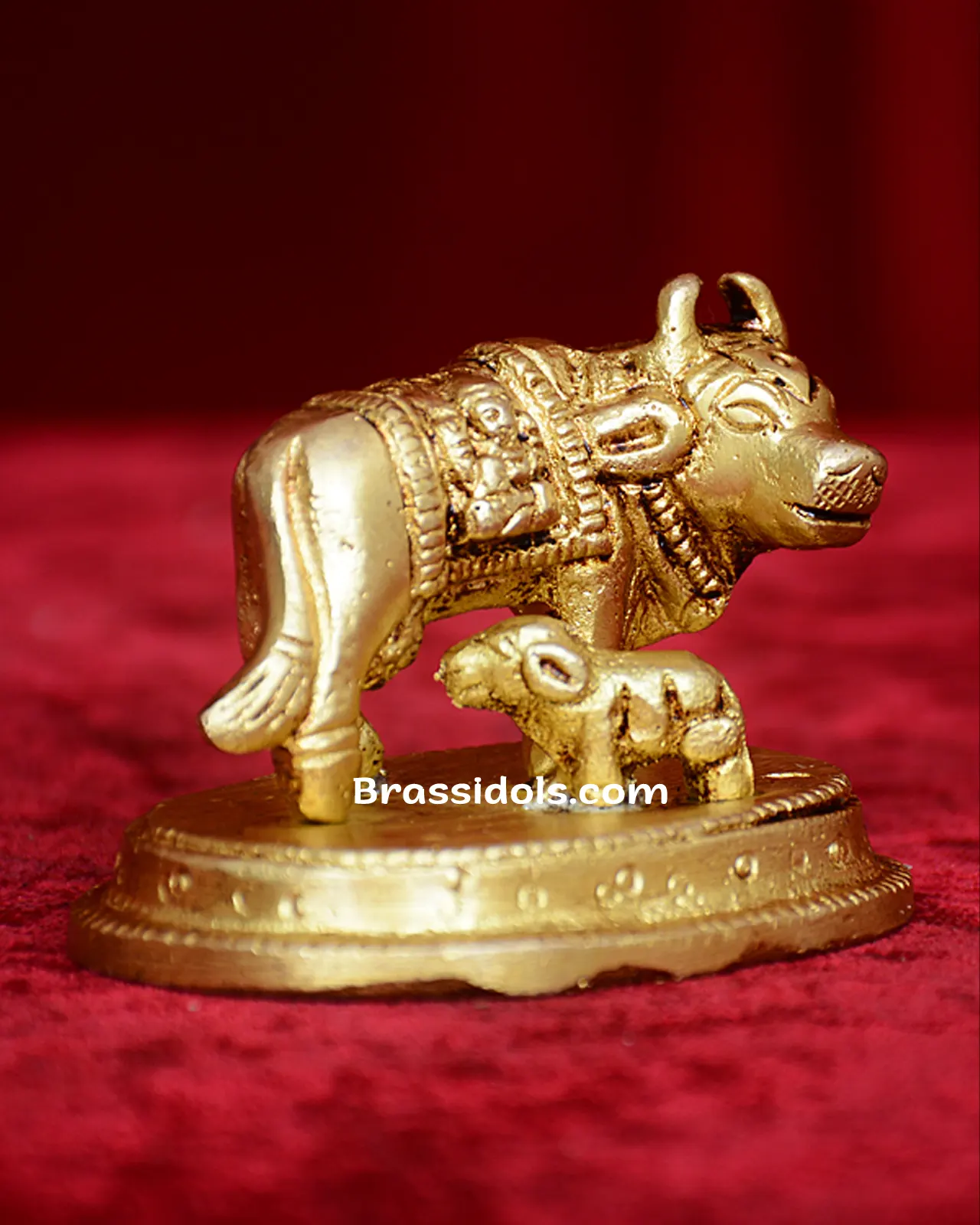 Cow Calf L+G - image 2