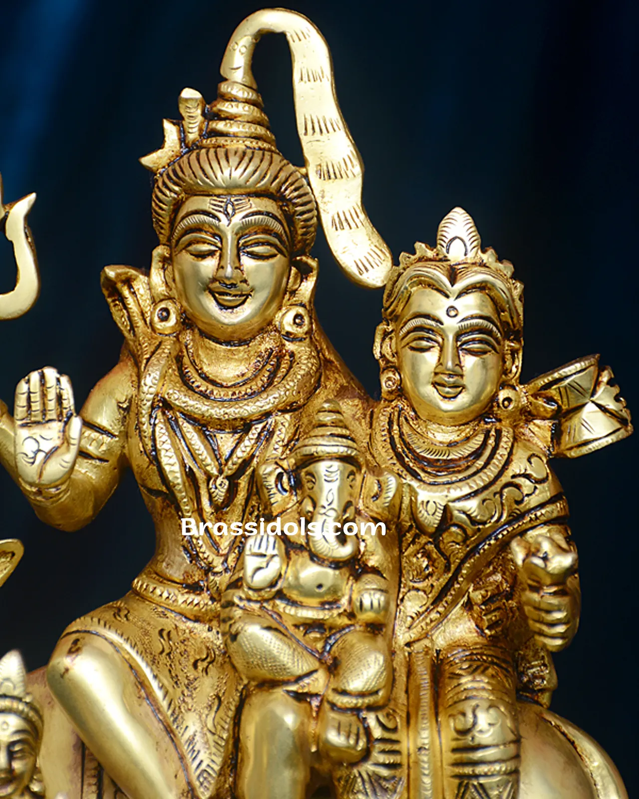 Shiv Family - image 2