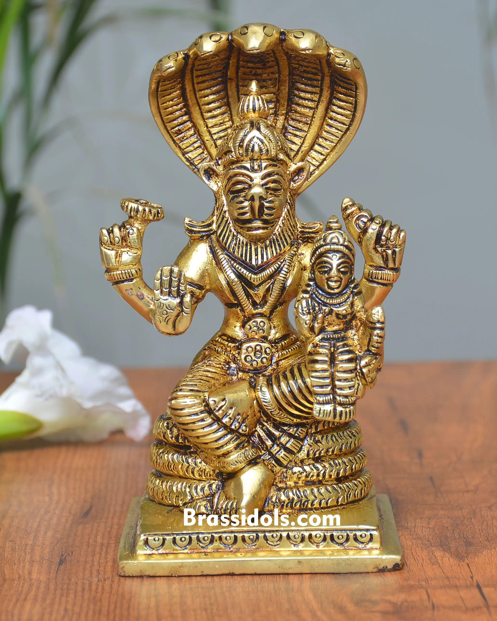 NAAG NARSING LAXMI - image 1