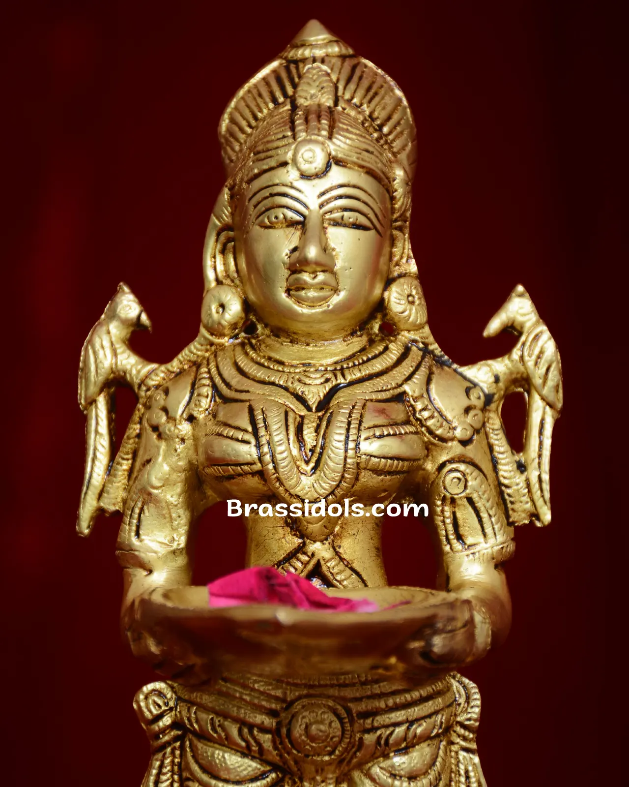 Deeplakshmi with parrot - image 2