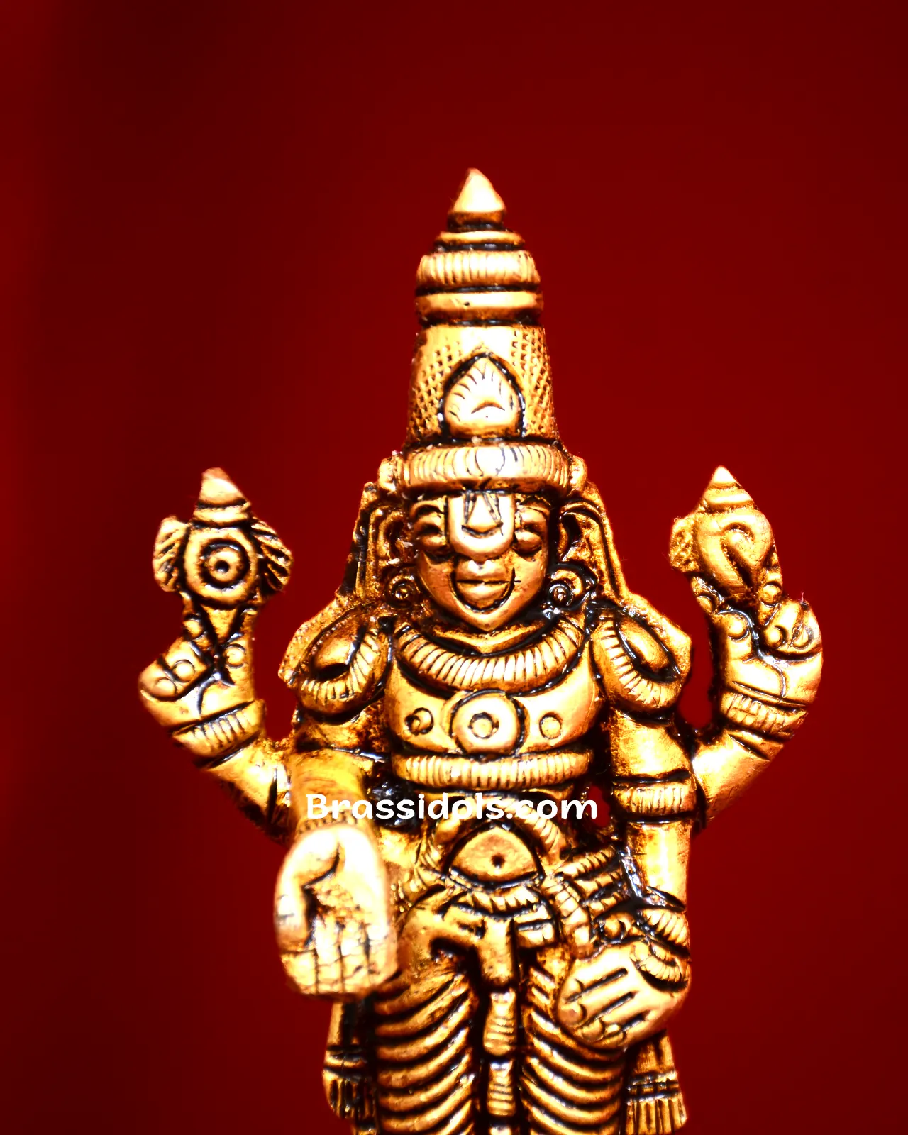 Balaji Chakra Namah Shankh Murti - image 2
