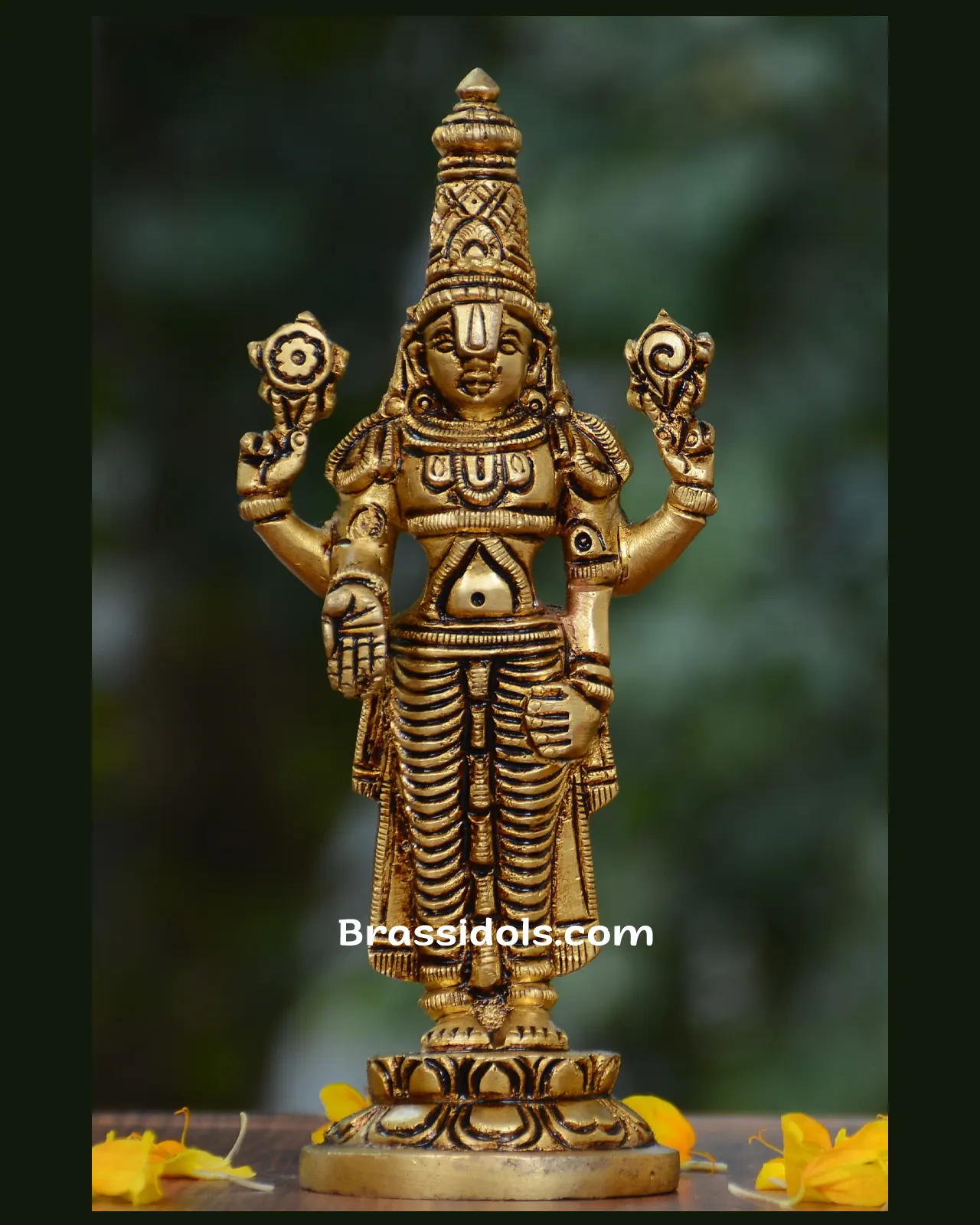 Balaji Gol base - image 1