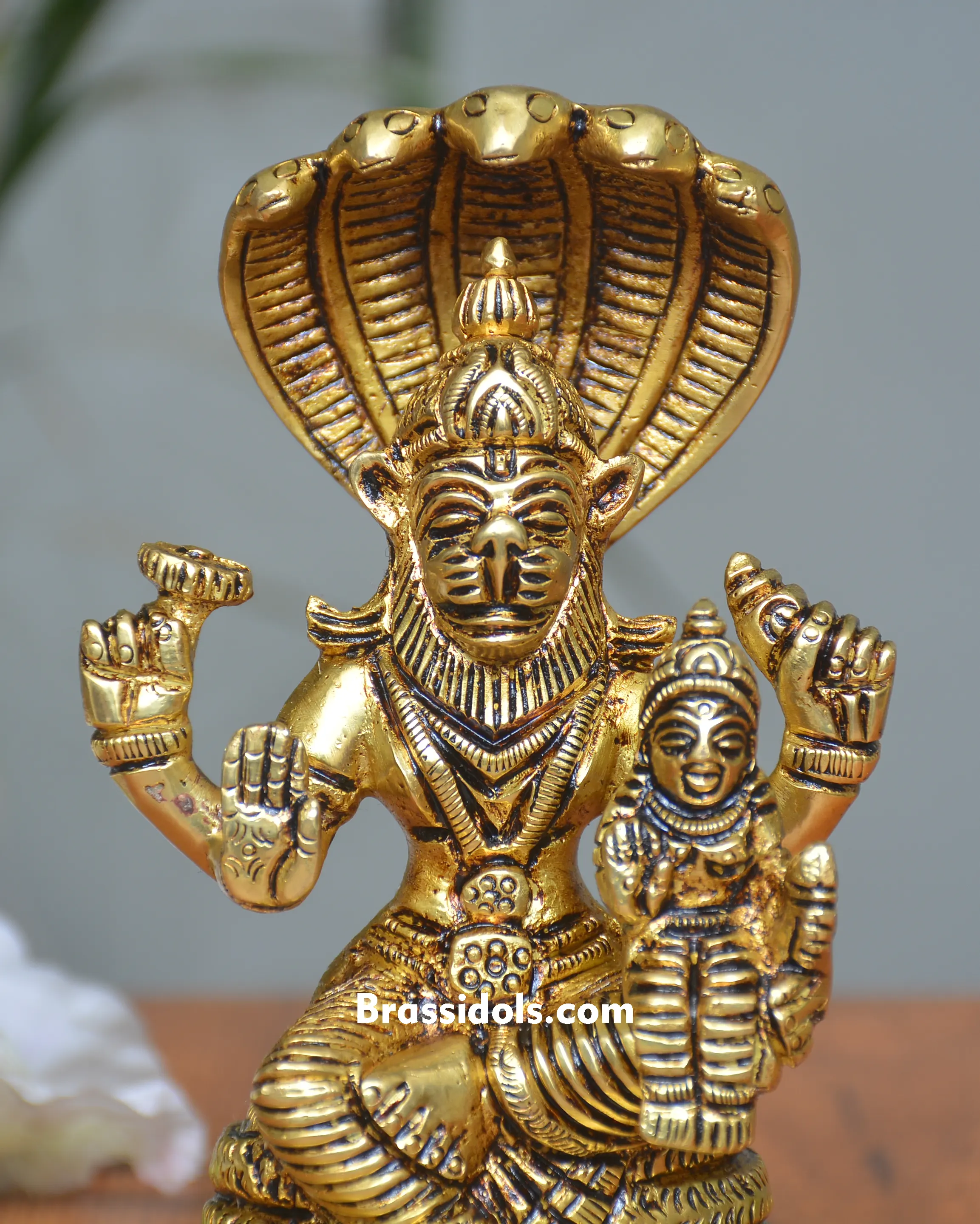 NAAG NARSING LAXMI - image 2