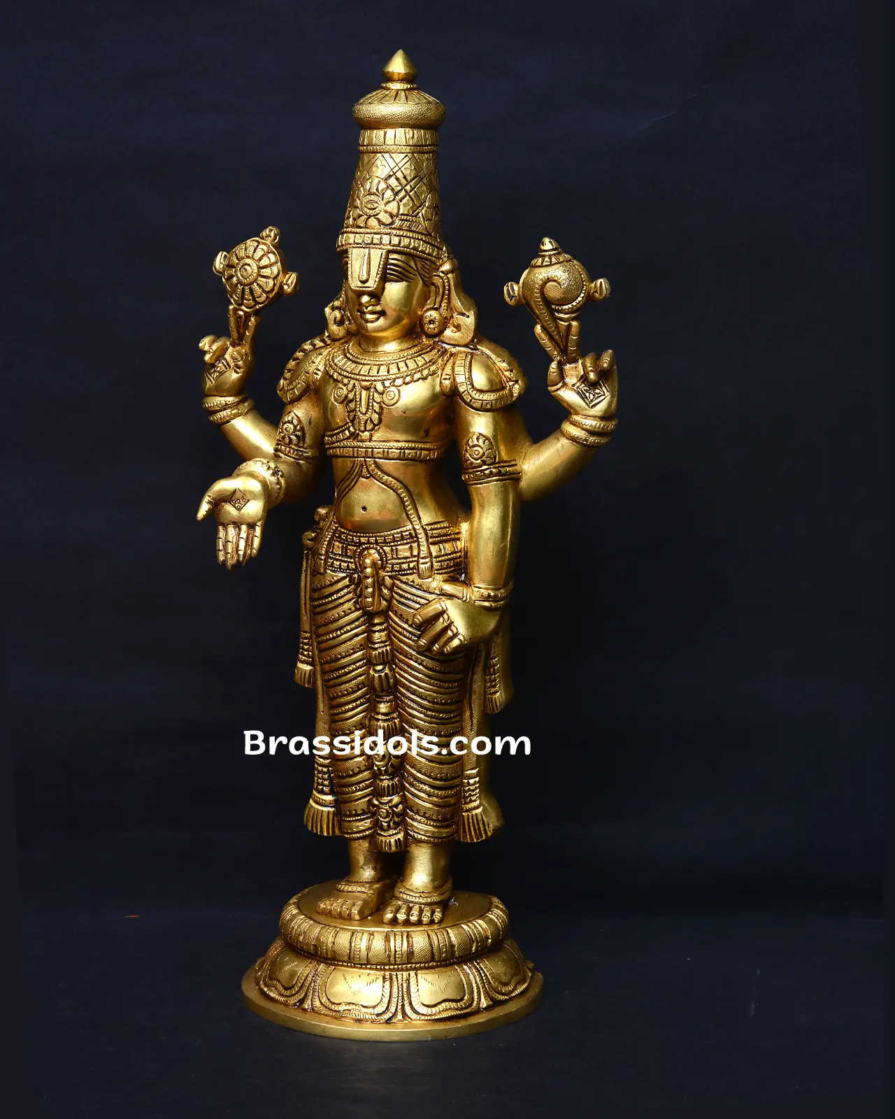 T Balaji Standing - image 2