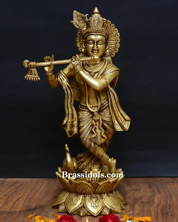 Kamal Krishna - image 1