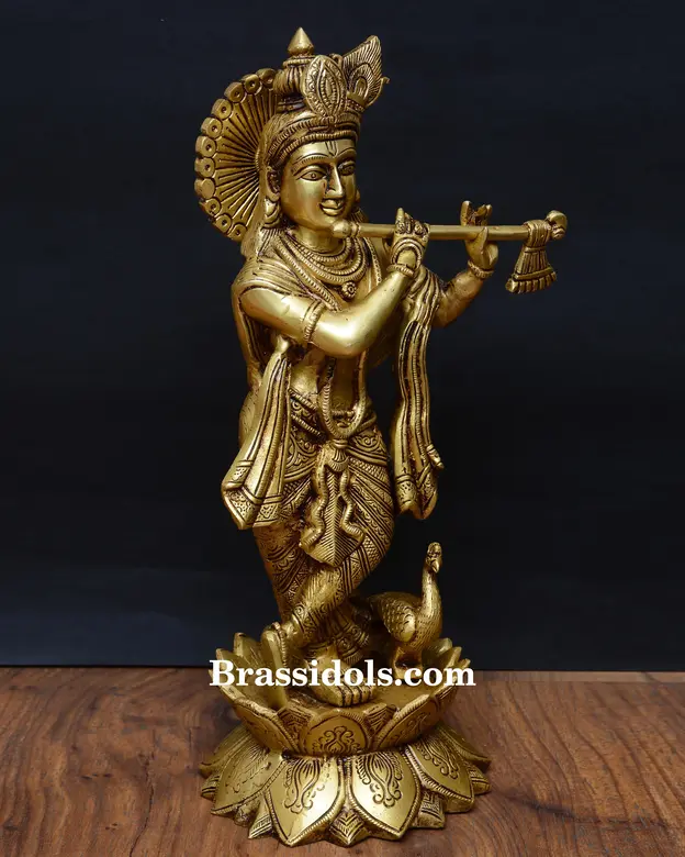 Kamal Krishna - image 2