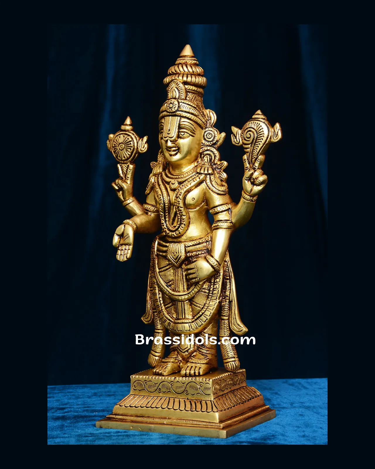 Standing Balaji - image 2