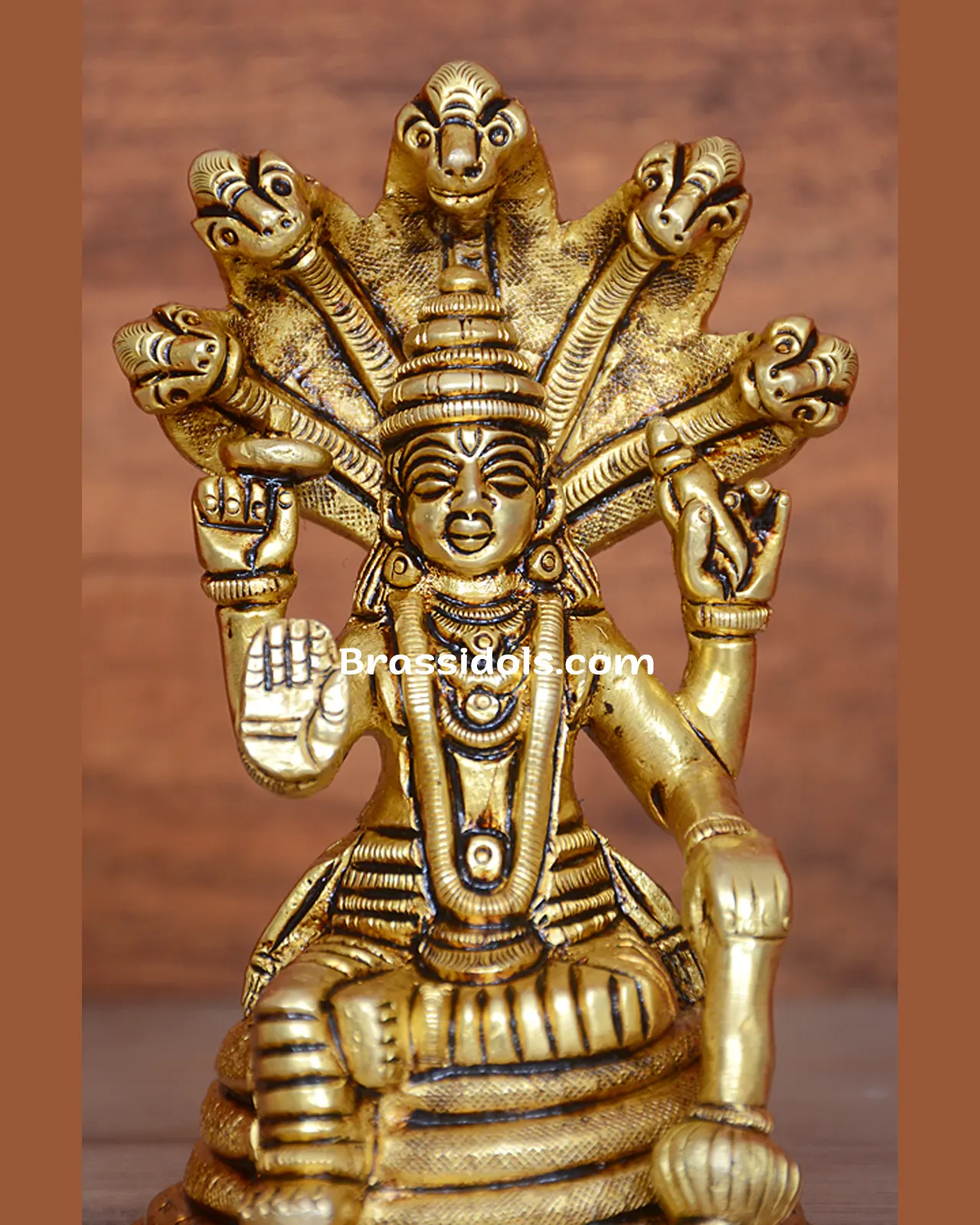 Nag Vishnu - image 2