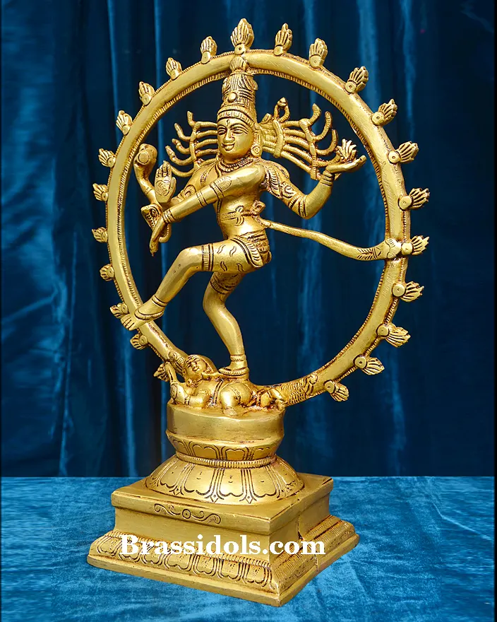 Natraj 4.200 kg - image 2