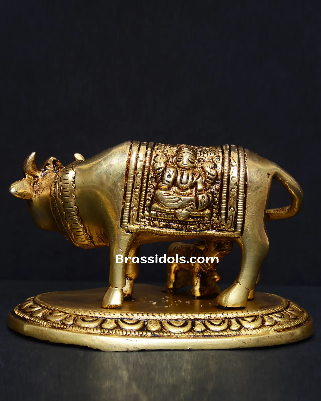 Pan CowCalf - image 2