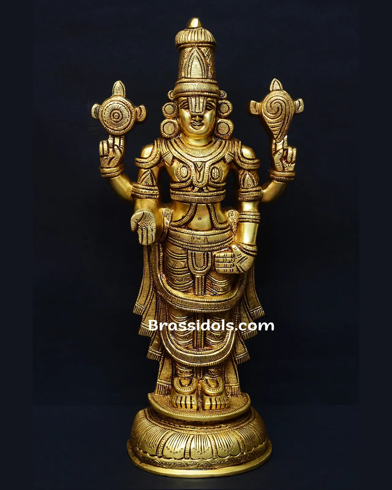 Standing T Balaji - image 1