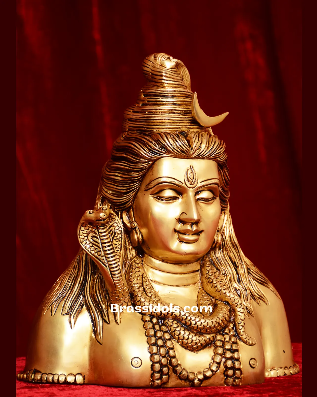 Half Body Shiva Face - image 2