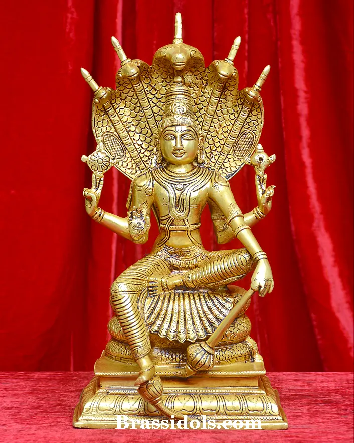 Nag Vishnu - image 1