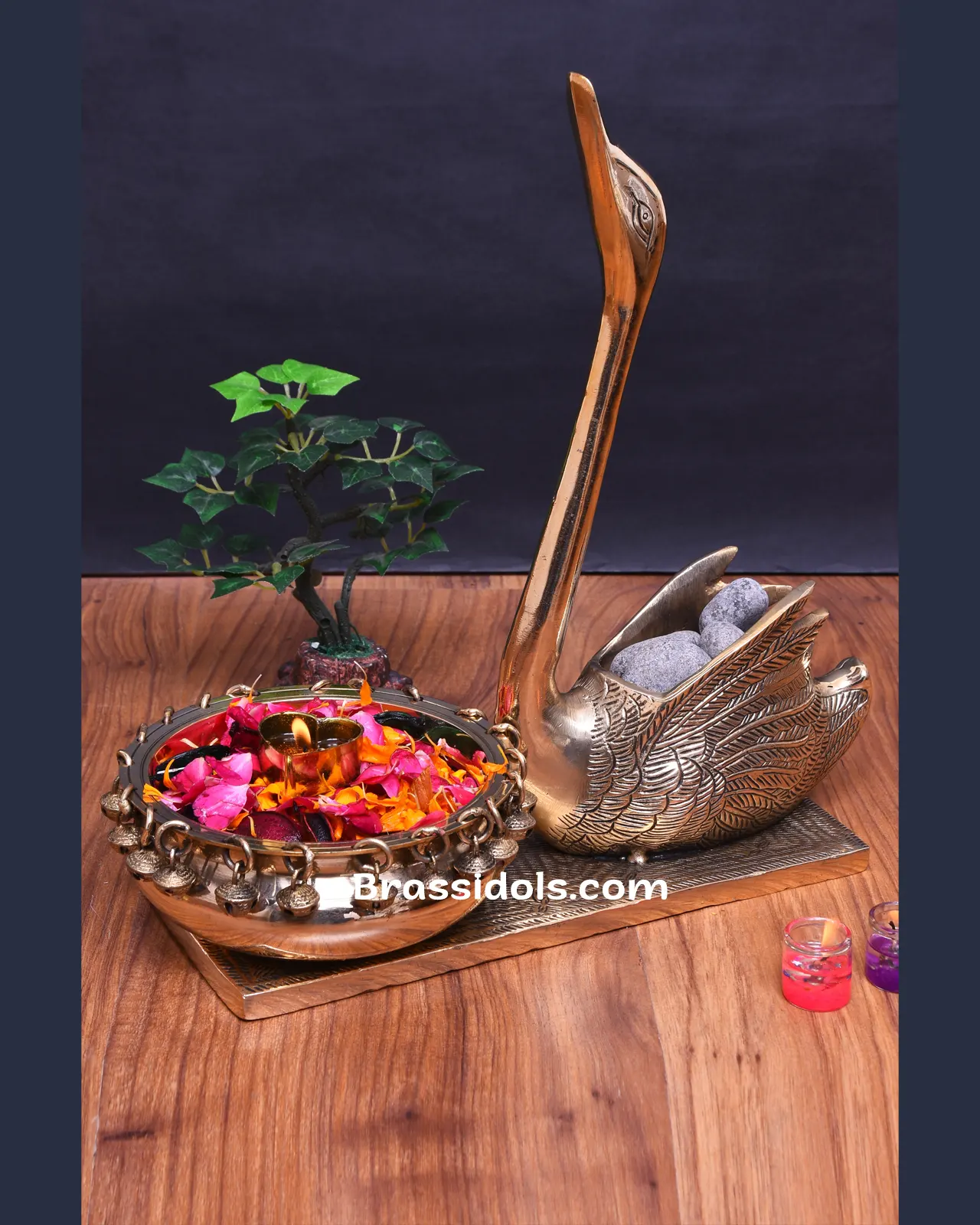 Brass Duck Urli Top Trunk - image 2