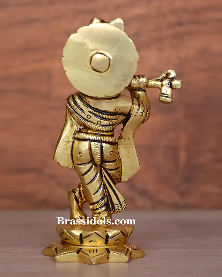 Standing with Kamal Krishna - image 2