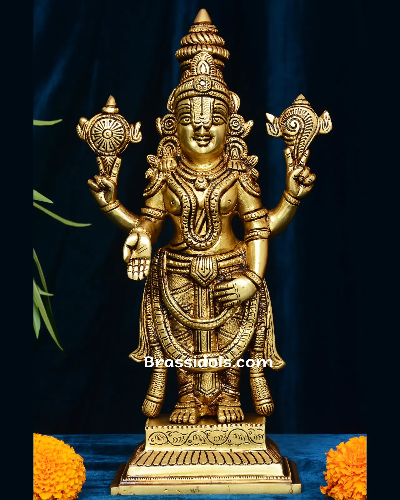 Standing Balaji - image 1