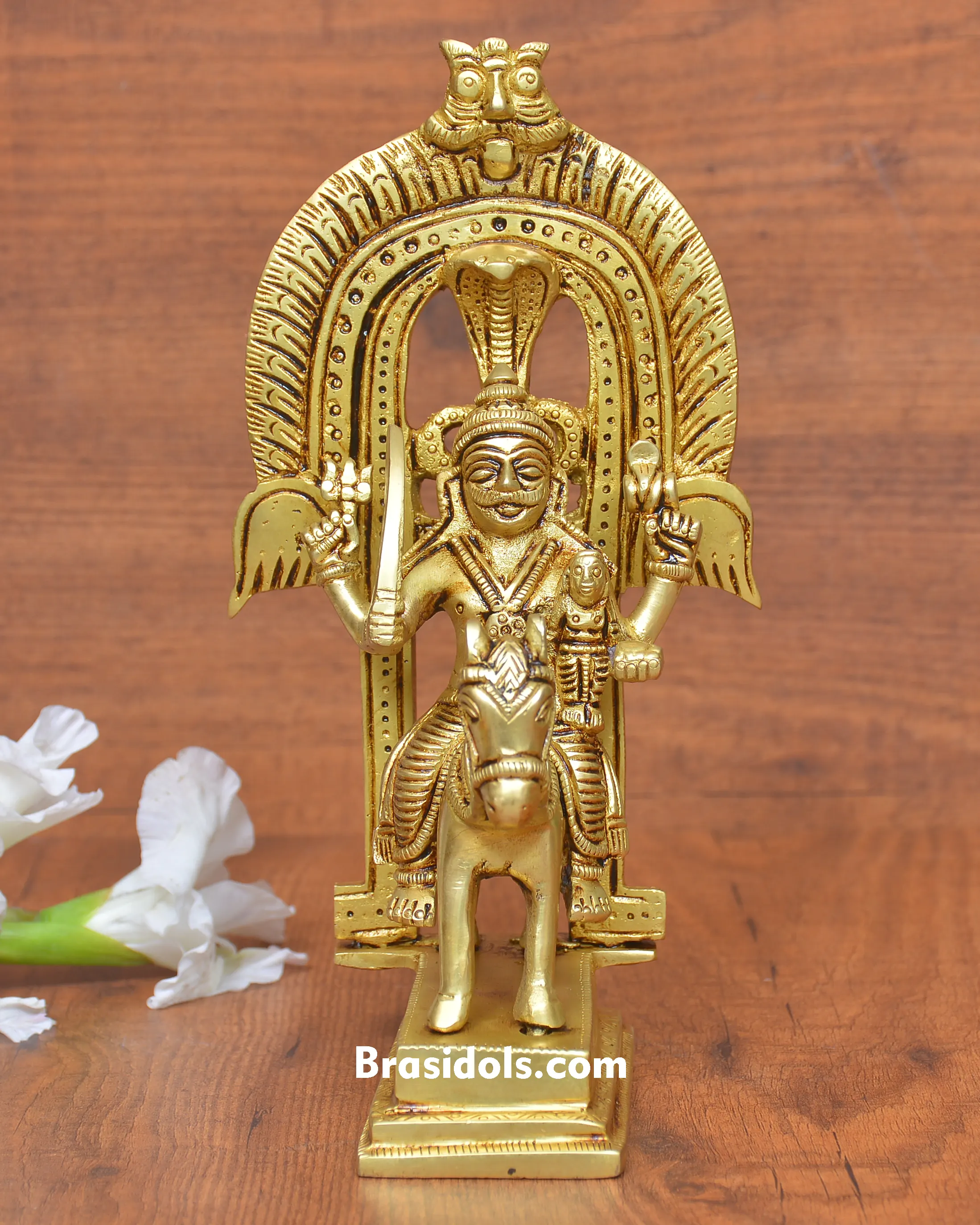 BRASS FRAME KHANDOVA - image 1