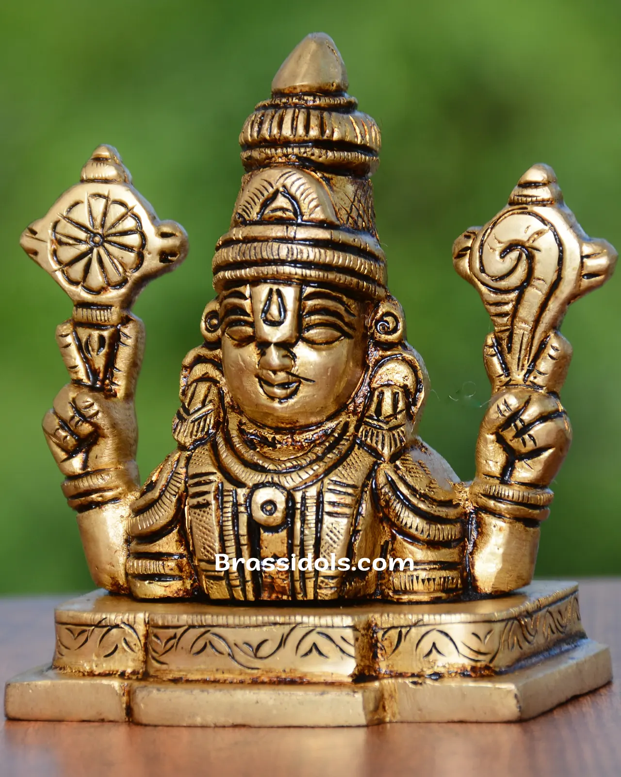 Balaji Head - image 2