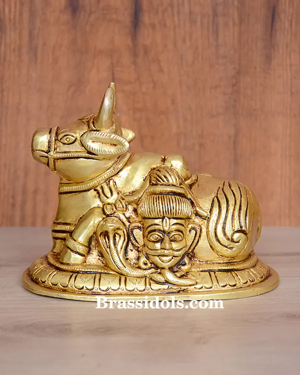 Shiva Nandi Maharaj - image 2