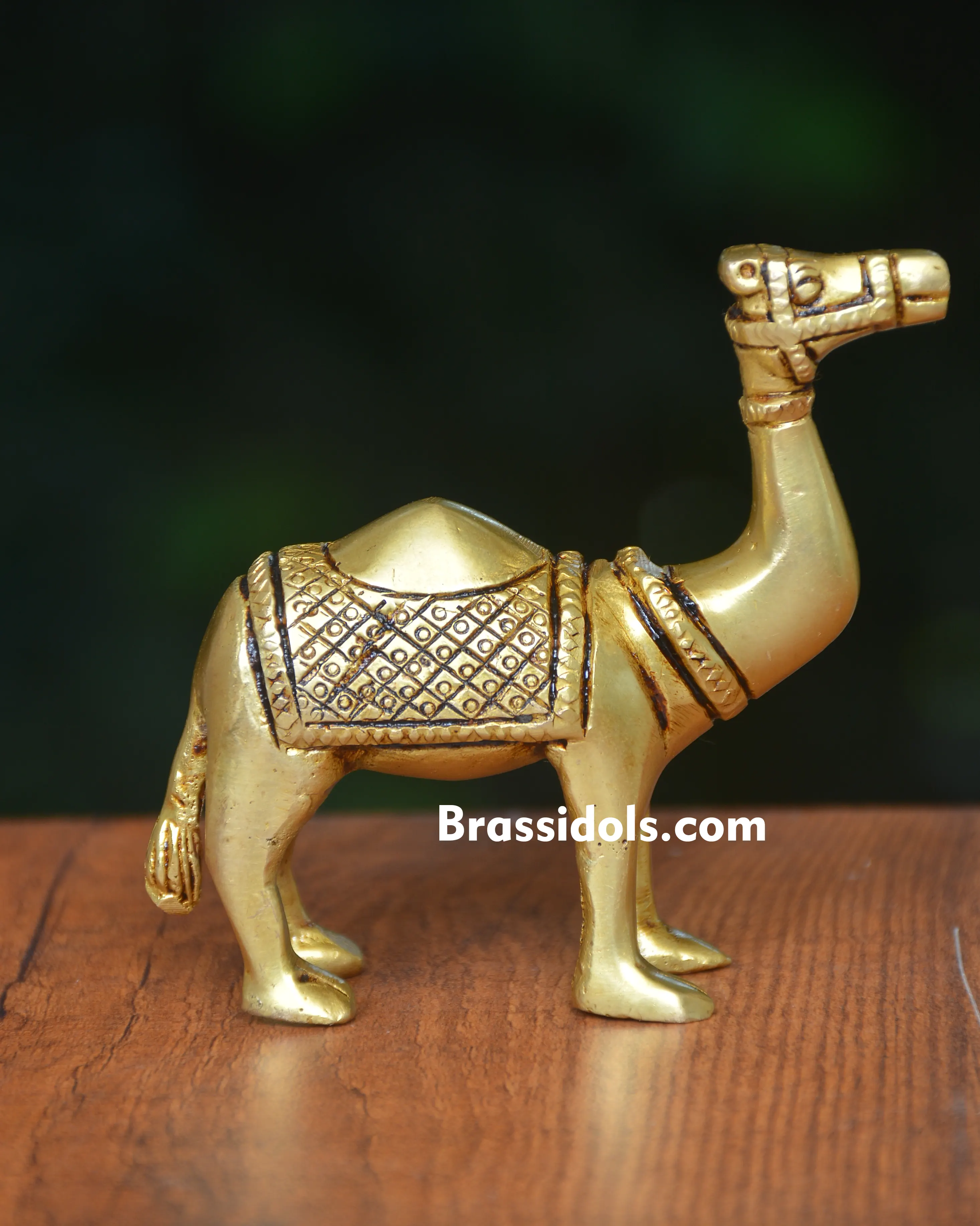 Large Camel Figurine for Office Decor - 400 gm - image 1
