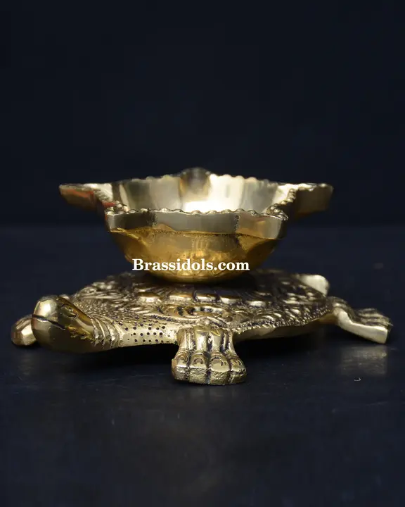 Tortoise Deepak - image 2