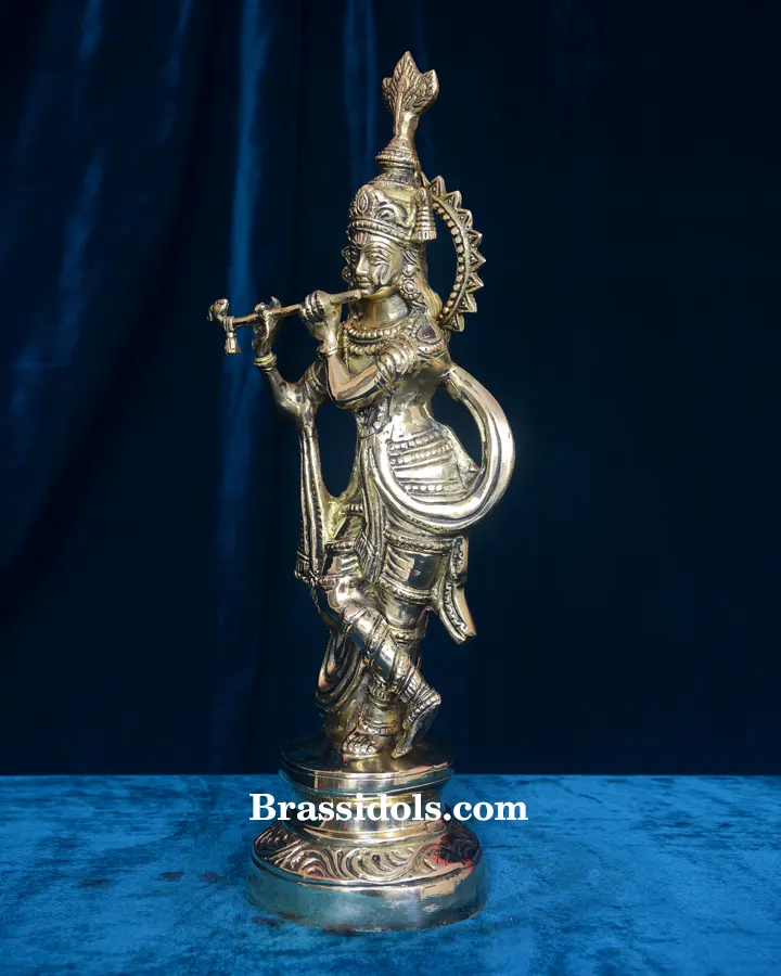 Plane Krishna - image 2