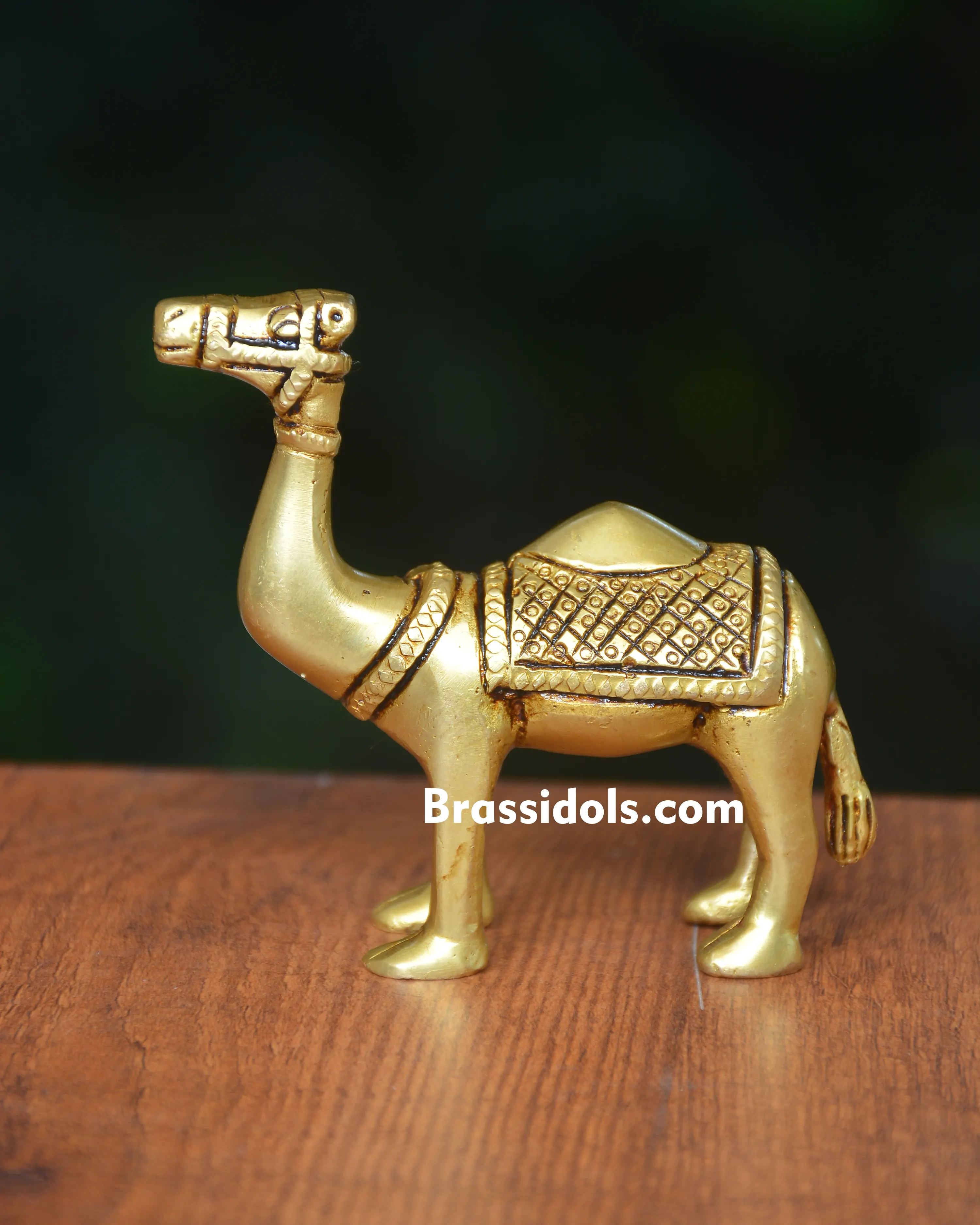 Large Camel Figurine for Office Decor - 400 gm - image 2